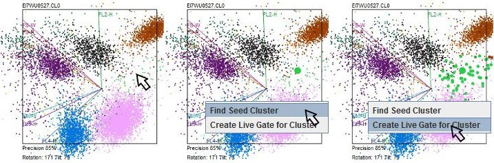 Live gate process